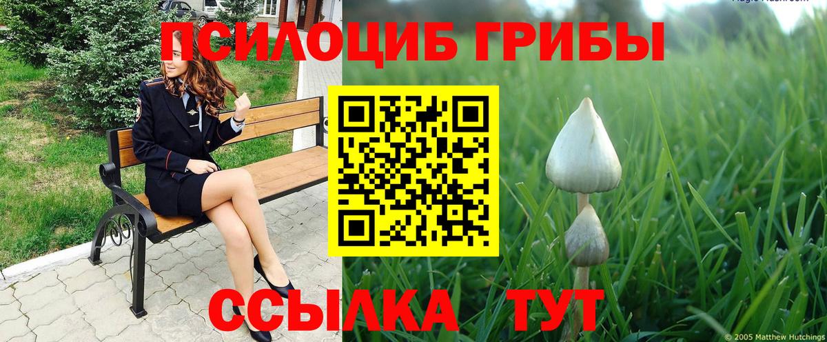 наркота  Вход с VPN  Псилоцибиновые грибы Psilocybine cubensis  Краснотурьинск  Псилоцибиновые грибы мухоморы 